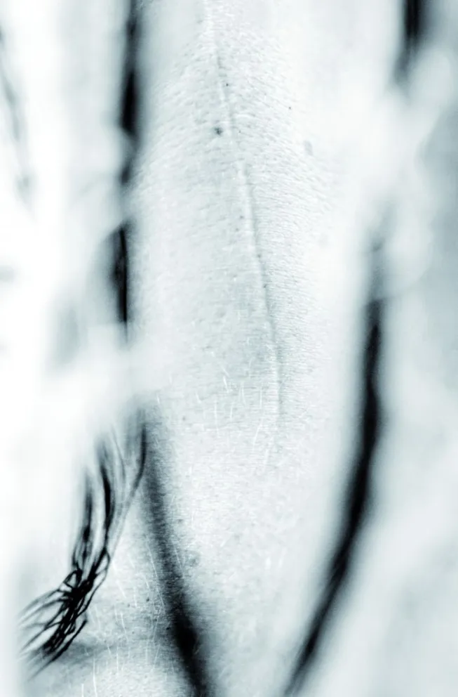 Día de la Mujer en Madryn: Inauguran la muestra “Cuerpos cosidos” en el MuMA 