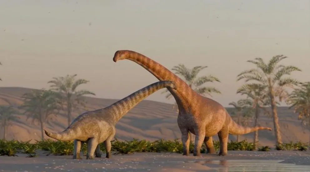 Científicos descubrieron un nuevo dinosaurio herbívoro en la Patagonia: data de 75 millones de años