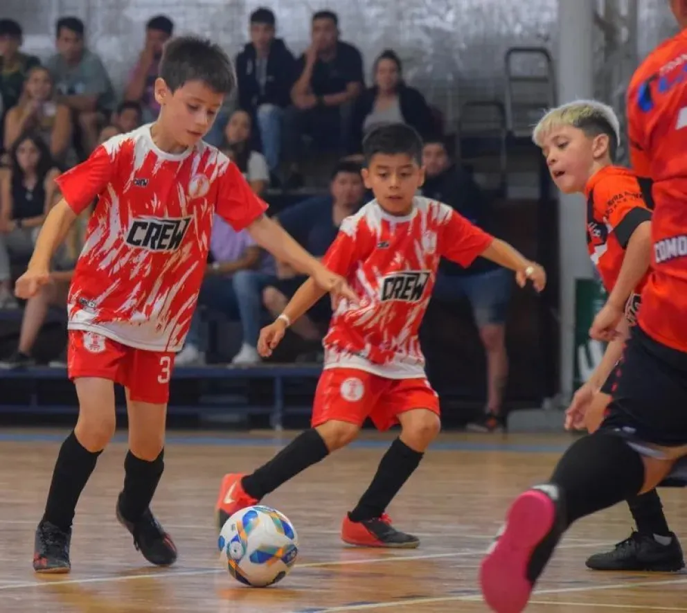 Nueva programación de los Promocionales