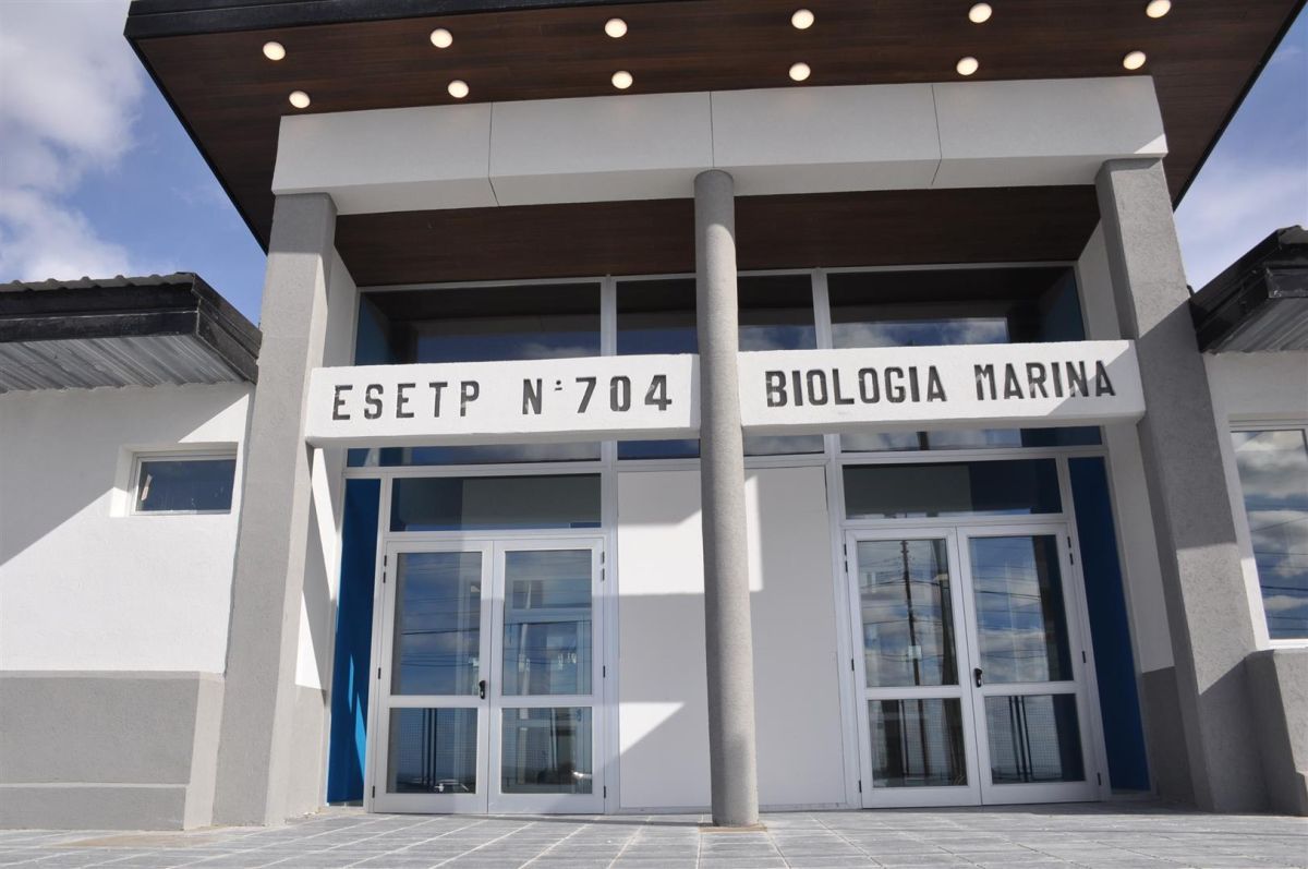 El Biología Marina reabrió sus puertas: “Volver a nuestro edificio es una caricia al alma”