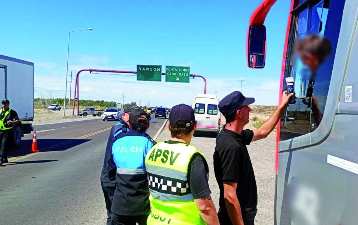 Verano Seguro: Se controlaron más de 7.000 vehículos y retiraron a 61 conductores alcoholizados de la vía pública