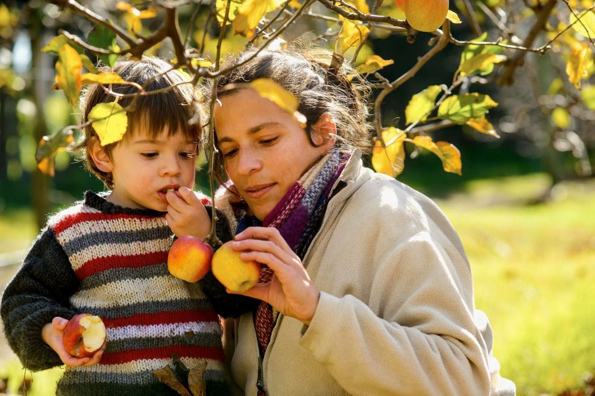 Prevenir la malnutrición fortalece el derecho a la salud de las niñas, niños y adolescentes