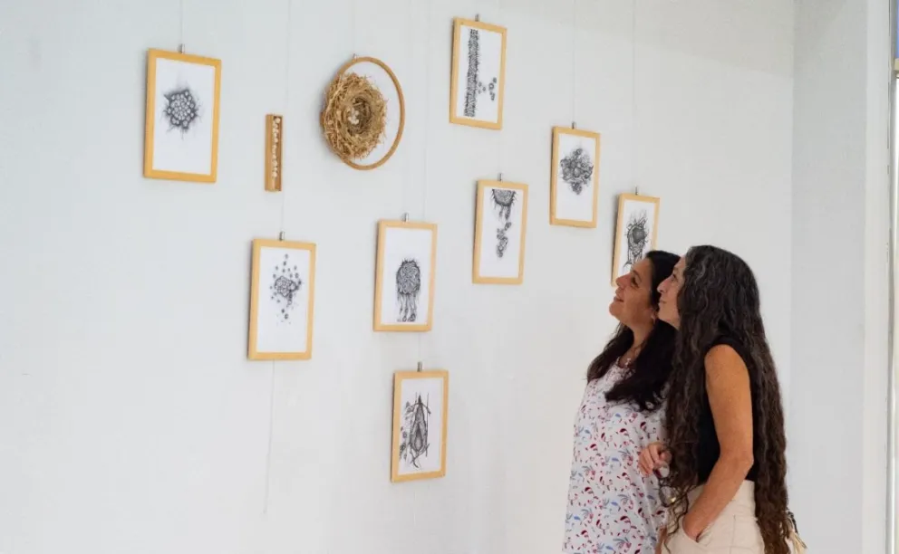 Provincia exhibe muestras conmemorativas en el Mes de la Mujer