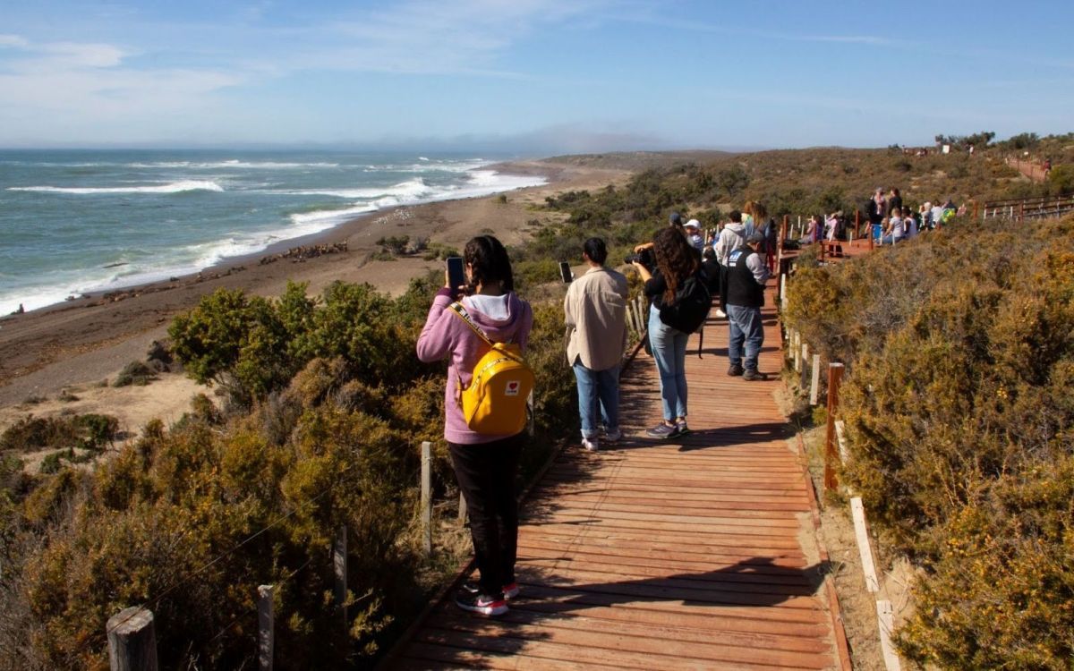 Se realizó el lanzamiento oficial de la Temporada de Orcas 2025 en Chubut