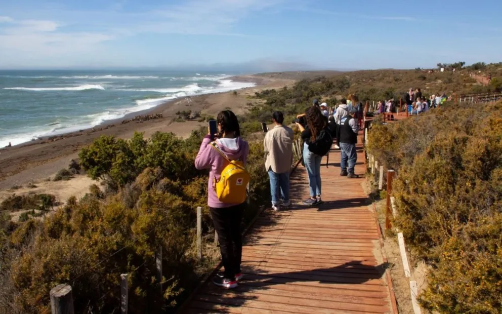 Se realizó el lanzamiento oficial de la Temporada de Orcas 2025 en Chubut