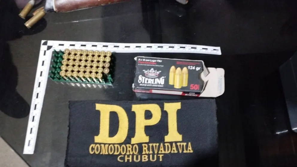 Fernández: “Lamentablemente, no tienen ni siquiera el 20% de las armas que deben tener”