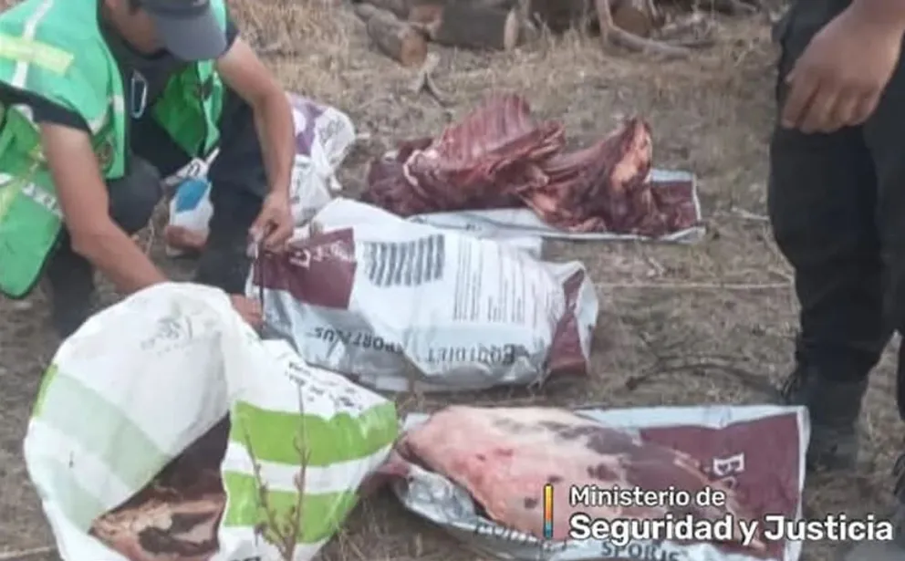 Incautan carne de ciervo y leña, transportadas de manera ilegal en la Ruta 40