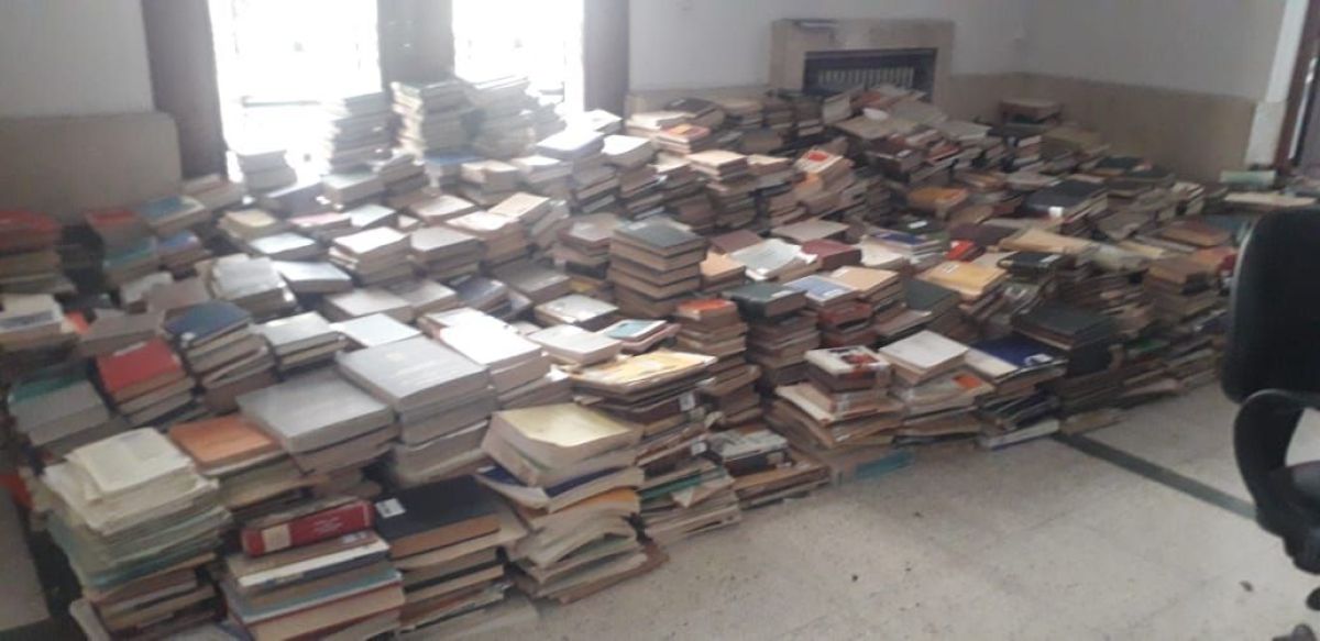 Bahía Blanca: Museólogo de Puerto Madryn participó del rescate de libros en bibliotecas universitarias 