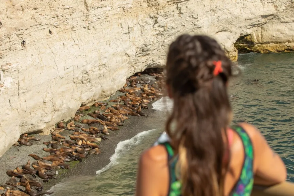 Turismo: Desde abril se restablece el cobro de ingreso Punta Loma