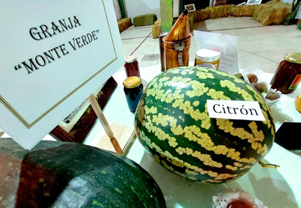 Gaiman se prepara para una nueva edición de la Fiesta del Citron