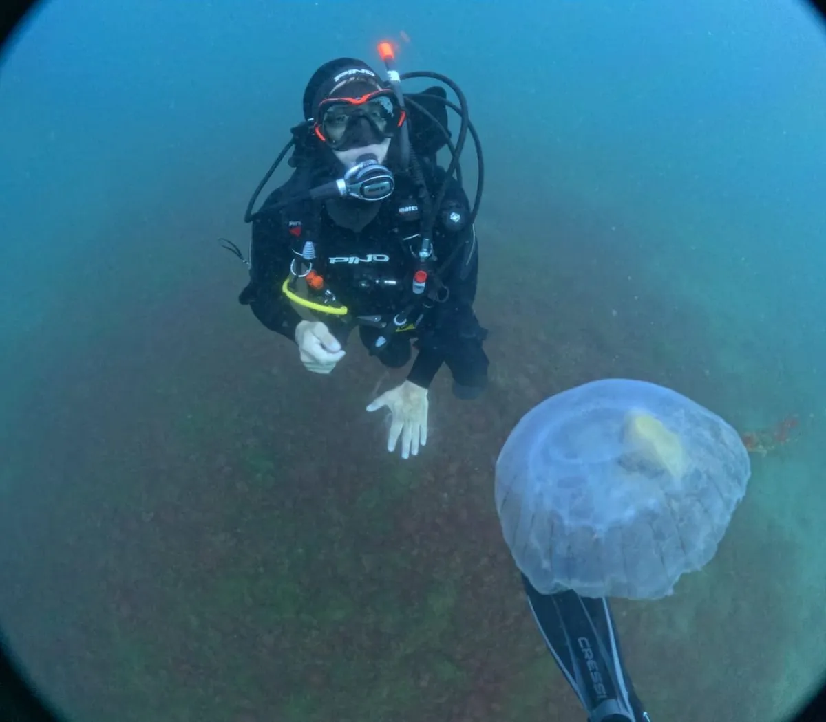 Turismo subacu&aacute;tico