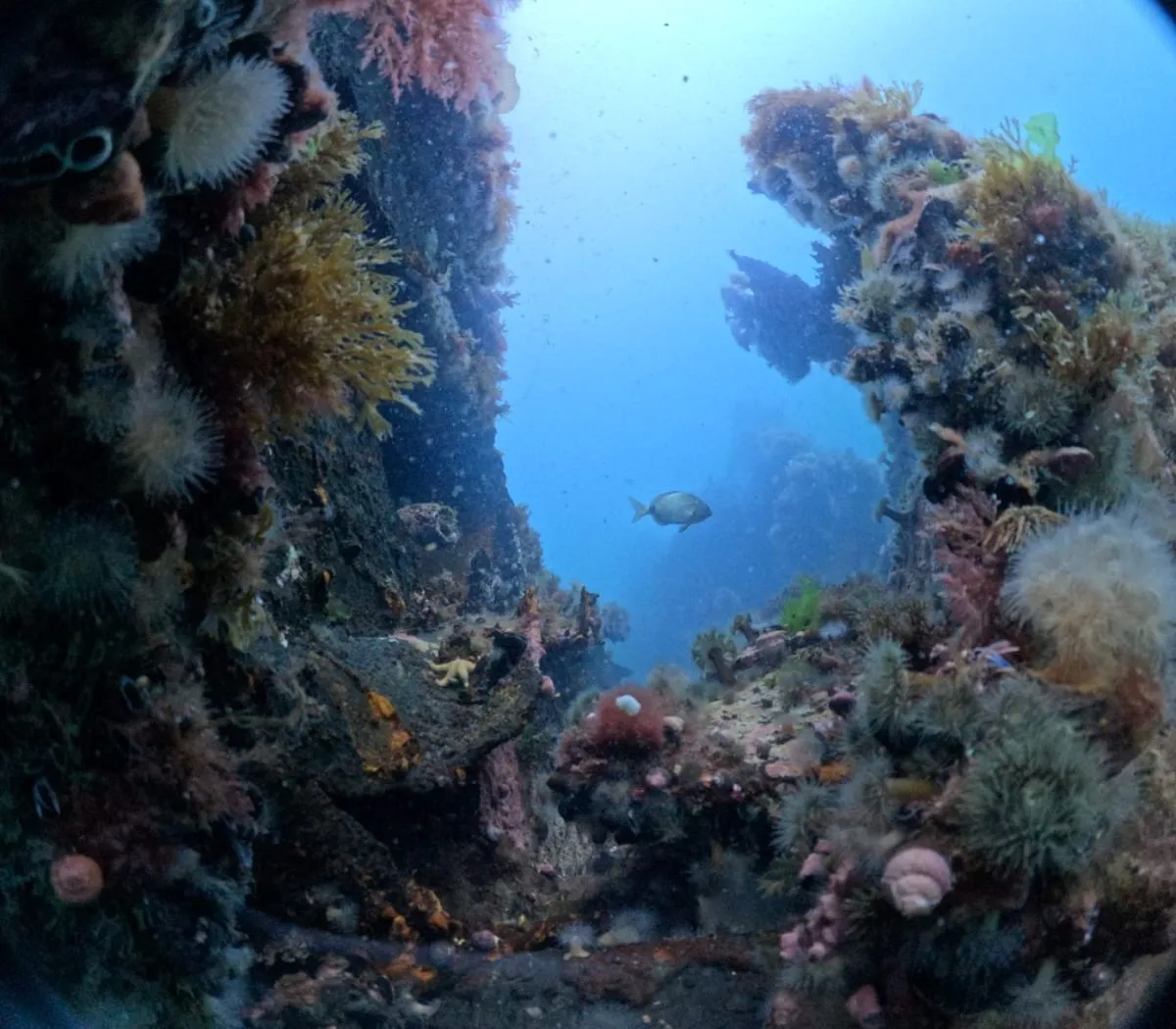 Turismo subacu&aacute;tico