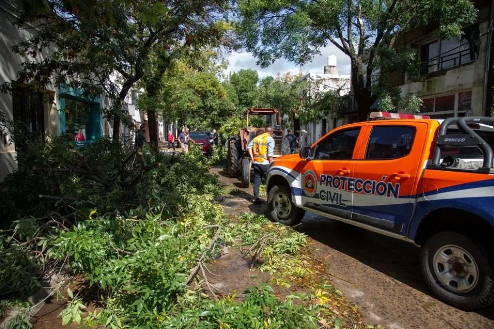 La tormenta provoc&oacute; ca&iacute;da de &aacute;rboles y destrozos en la v&iacute;a p&uacute;blica, Imagen: gobierno de Santa Fe.