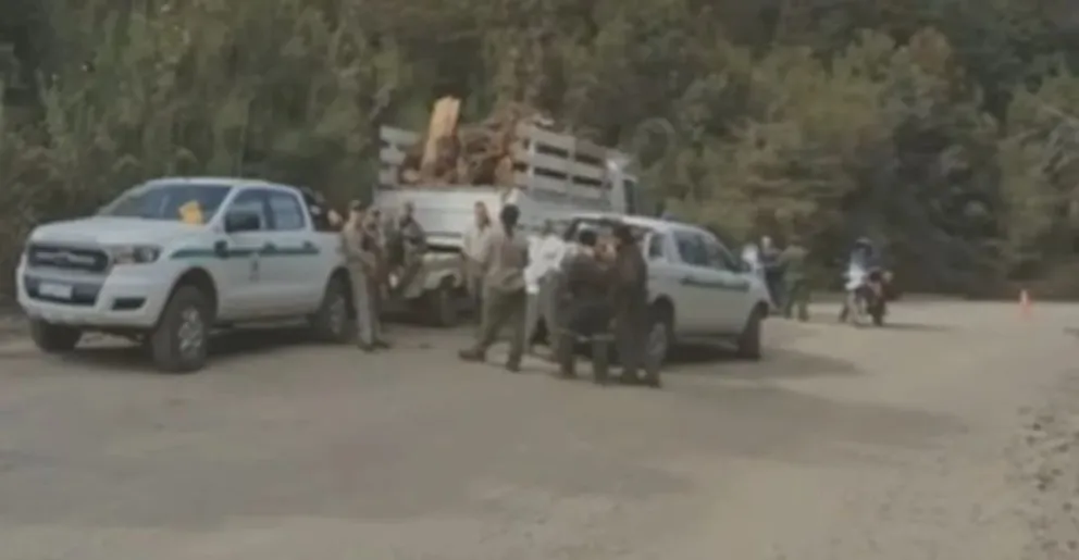 Guardaparques incautan leña talada ilegalmente en el Parque Nacional Los Alerces