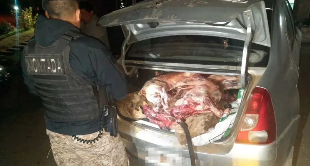 Esquel: secuestran carne ovina faenada de forma ilegal en un control policial