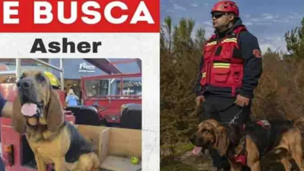 Foto: El Cordillerano