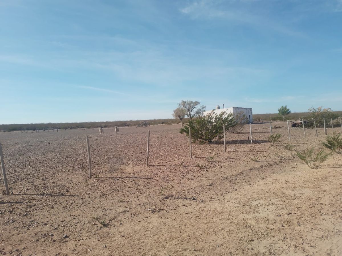Rescatan a un peón rural de 77 años que vivía sin luz, agua ni calefacción 