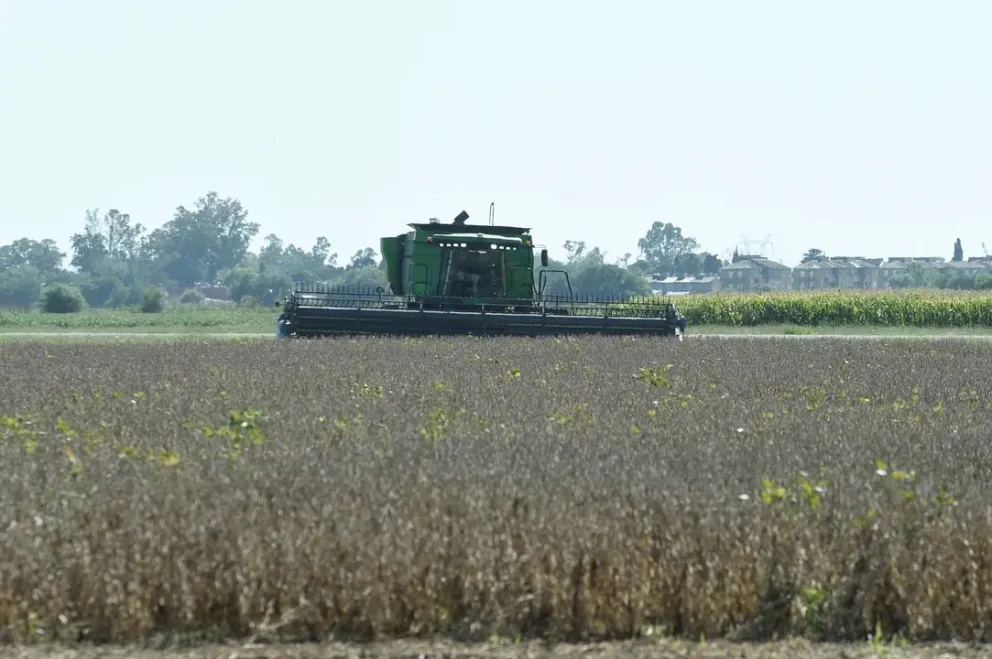 La economía argentina acumula once meses consecutivos de crecimiento
