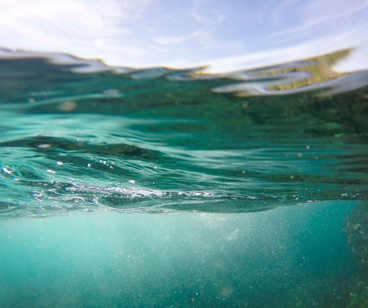 Rada Tilly conmemora el Día Mundial del Agua con un conversatorio abierto a la comunidad