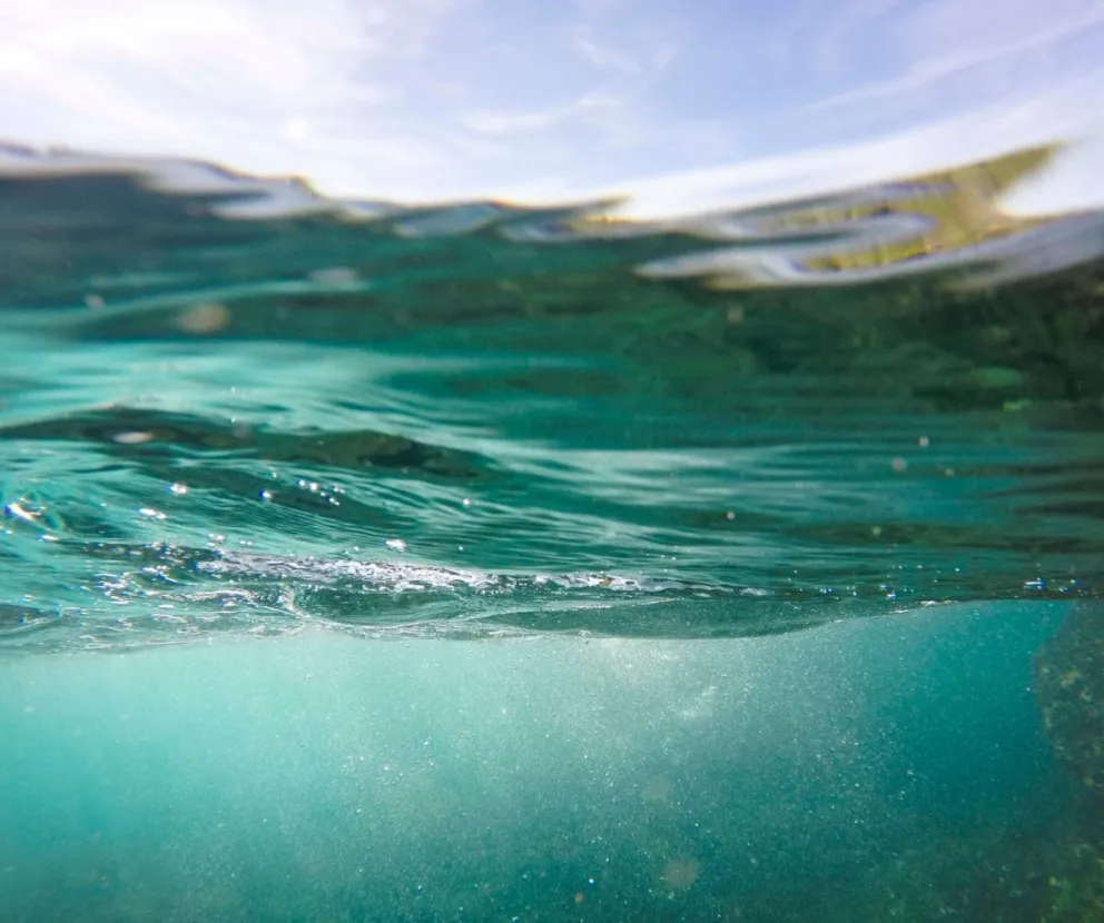 Rada Tilly conmemora el Día Mundial del Agua con un conversatorio abierto a la comunidad