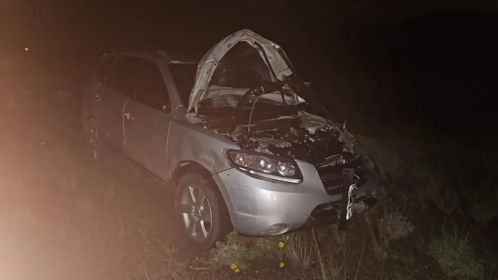 Accidente en Ruta 39: un vehículo impactó contra un caballo suelto