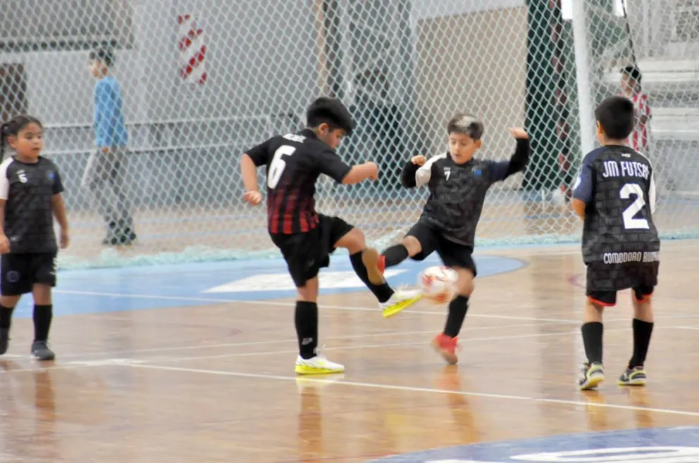 Los chicos tienen más partidos en el Pueyrredón