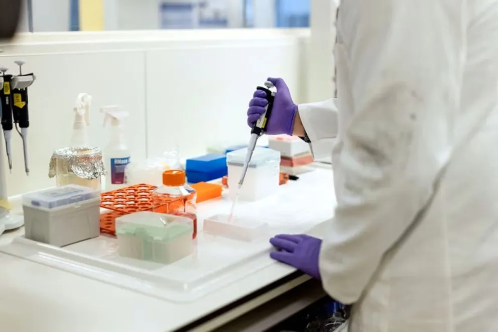 Argentinos logran hallazgos sobre el funcionamiento de las células