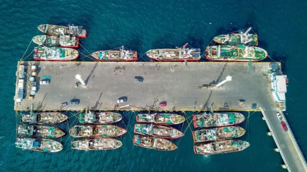 Pesquería en crisis: “Las empresas no pueden salir al agua a seguir perdiendo plata”