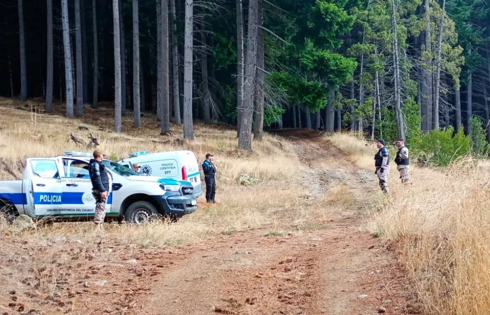 Desmantelaron una maderera ilegal en Lago Puelo
