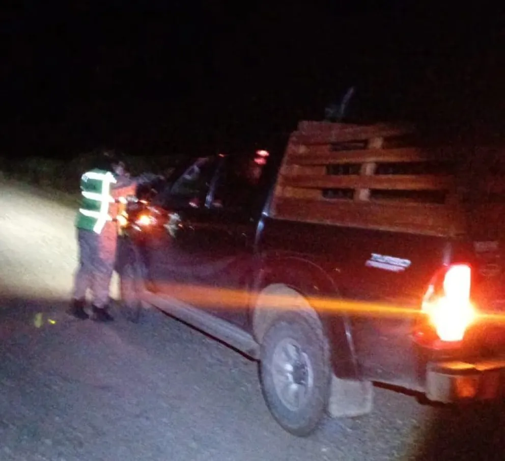 Decomiso de un choique y retención de armas en operativo de control en Ruta Provincial N°24
