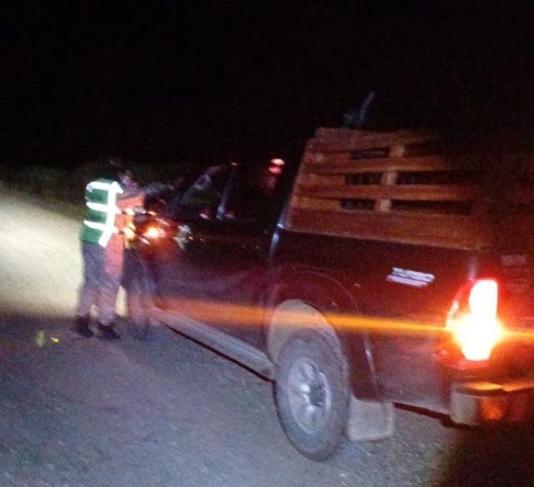 Decomiso de un choique y retención de armas en operativo de control en Ruta Provincial N°24