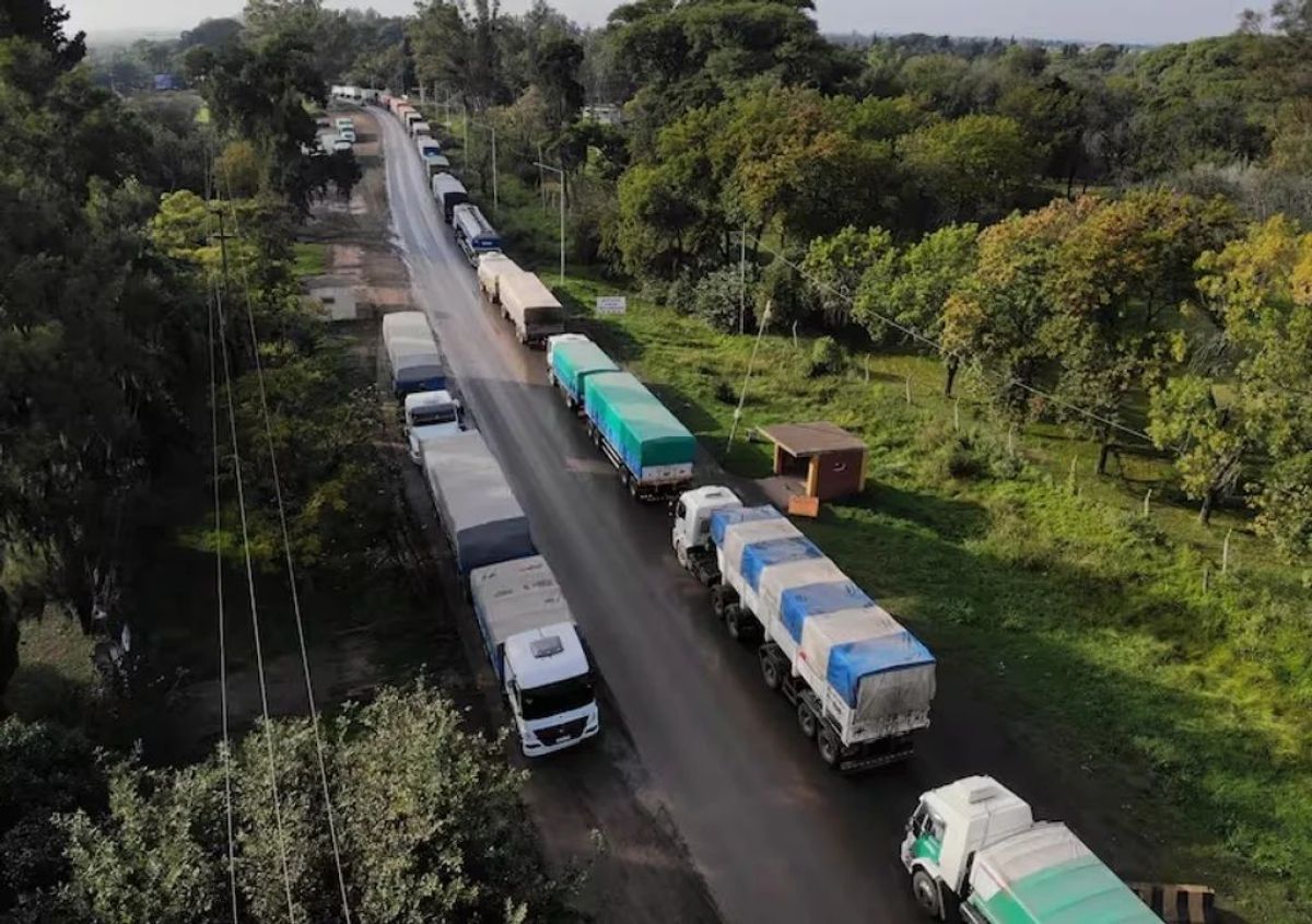 Cosecha récord impulsa el arribo masivo de camiones a puertos cerealeros y anticipa millonaria liquidación