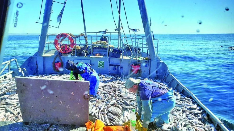 El barco Liliana volvió a operar y abasteció con merluza durante Semana Santa
