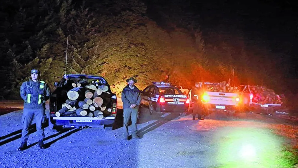 Cayeron con el baúl cargado de "leña ilegal" de árboles milenarios en el Parque Nacional Nahuel Huapi