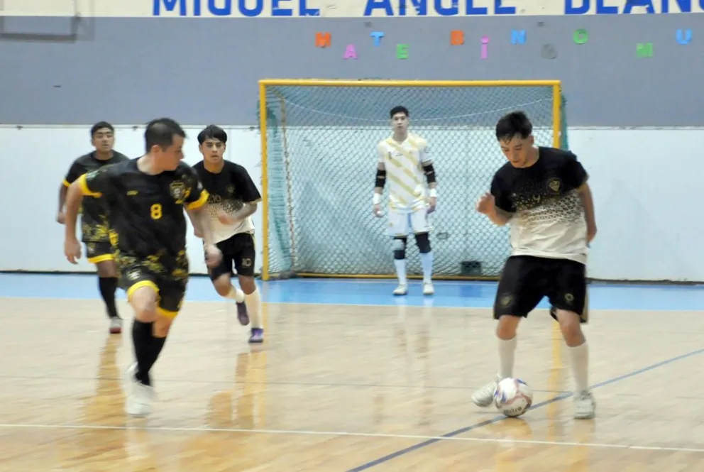 Halcones bien en lo alto