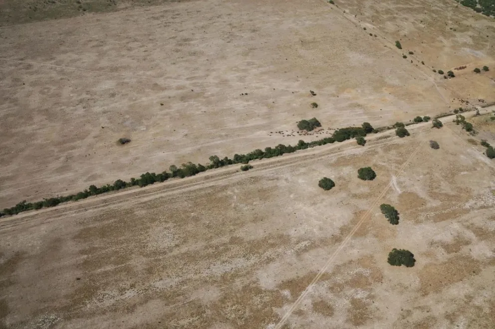 Chaco y Santa Fe: decretan la emergencia agropecuaria por altas temperaturas y falta de agua