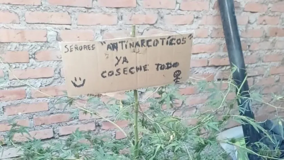 Balaceras y drogas en Centenario, Neuquén: 10 allanamientos y un mensaje irónico para Antinarcóticos