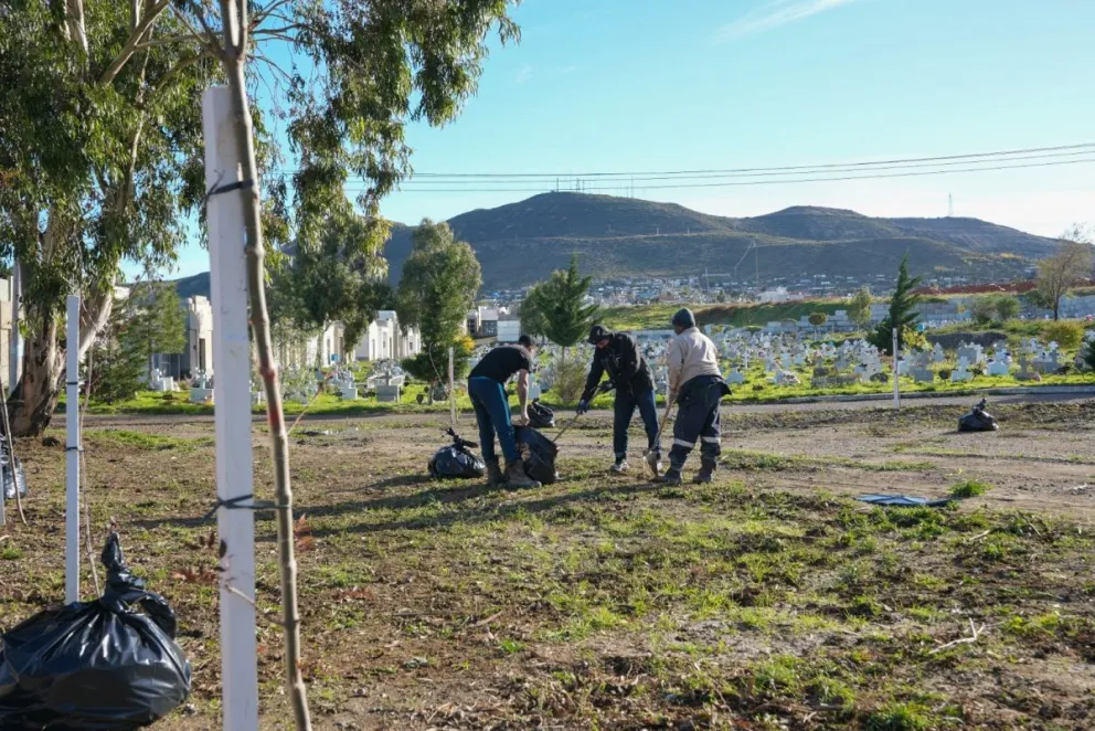 Avanzan con tareas de mantenimiento en el Cementerio Oeste y en las distintas plazas de Comodoro