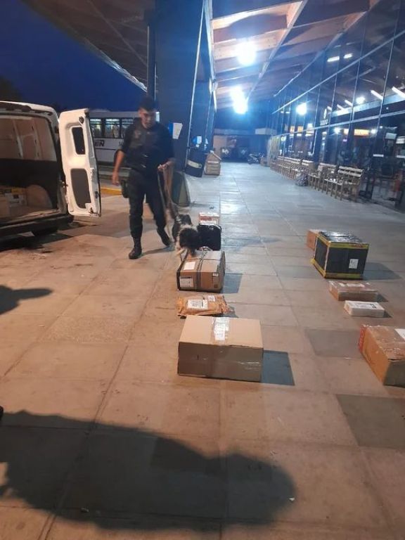 Secuestran marihuana en la Terminal de Esquel durante un operativo antidrogas