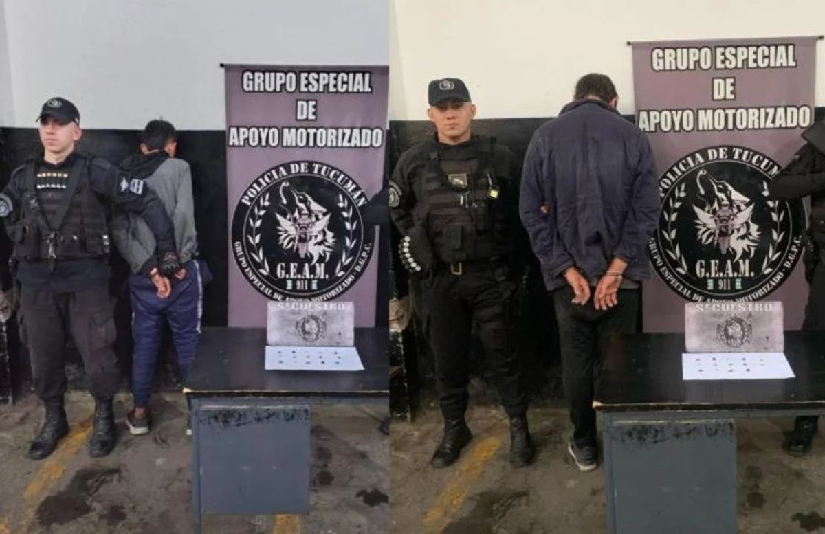 Desarticulación de red de narcomenudeo: cinco aprehendidos y grandes cantidades de drogas incautadas