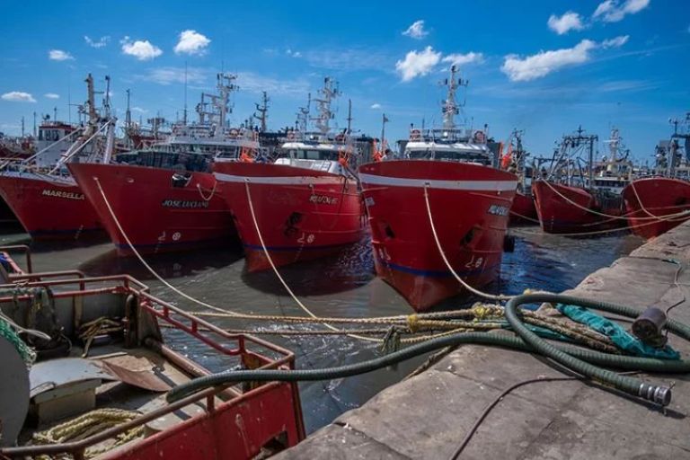 Alerta en la actividad pesquera de Argentina: caen las exportaciones y la crisis se profundiza