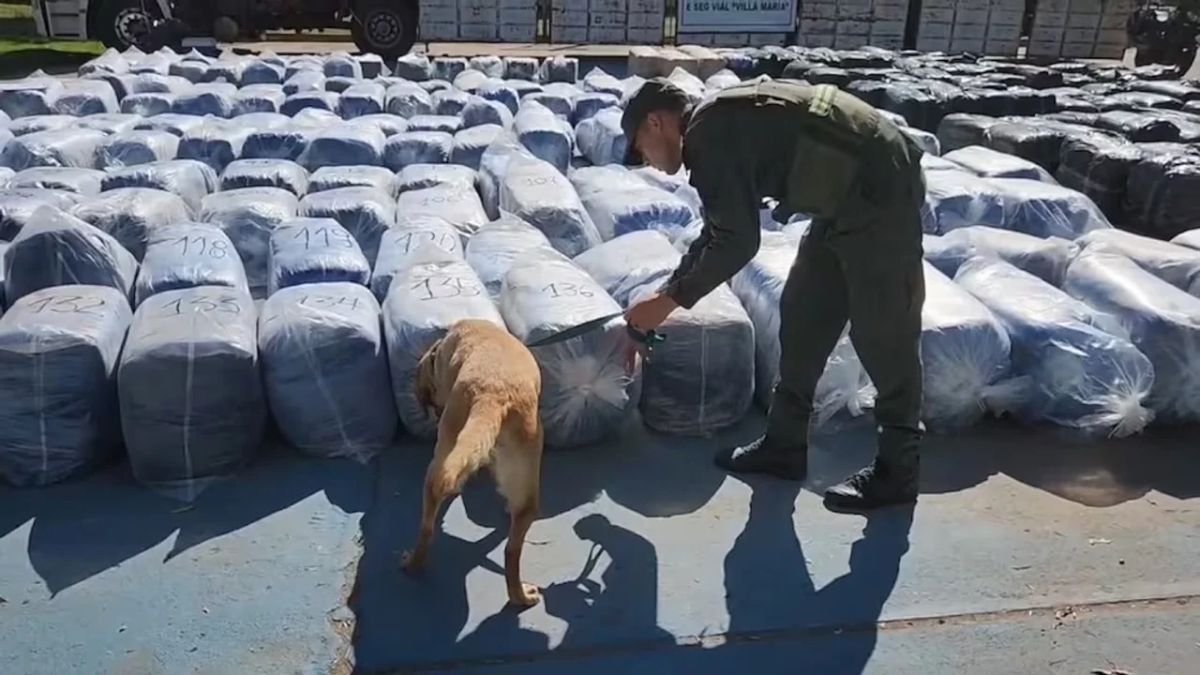 Gendarmería secuestró 7 mil kilos de coca en un camión que iba a Buenos Aires