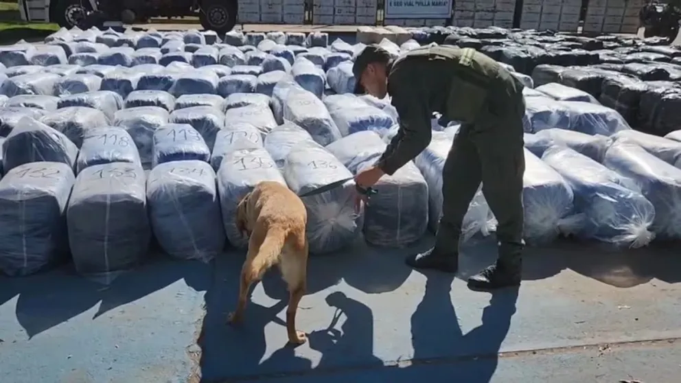 Gendarmería secuestró 7 mil kilos de coca en un camión que iba a Buenos Aires