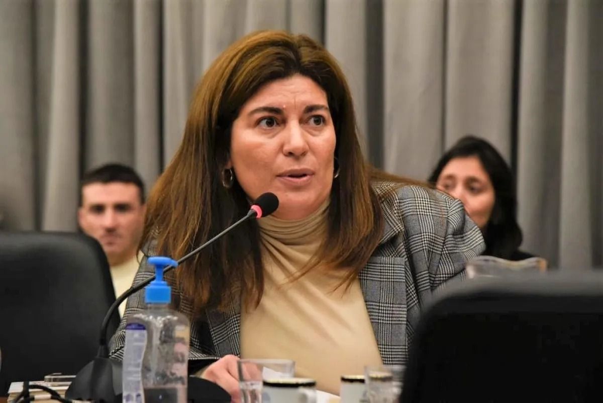 Romero, consultada sobre los dichos de Treffinger: "Nosotros venimos peleando día a día por la provincia, en absoluta soledad"