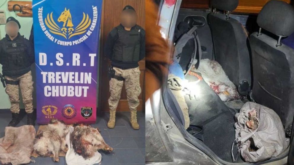 Agarraron a un hombre que transportaba ñandúes cazados ilegalmente en su auto