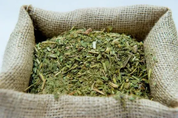 La cosecha de yerba mate cayó más del 30% durante el primer trimestre del 2025.