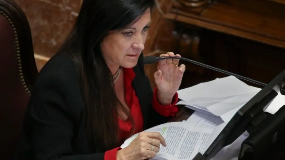 Avanza el debate por la baja de edad de imputabilidad: el Gobierno busca dictamen esta semana