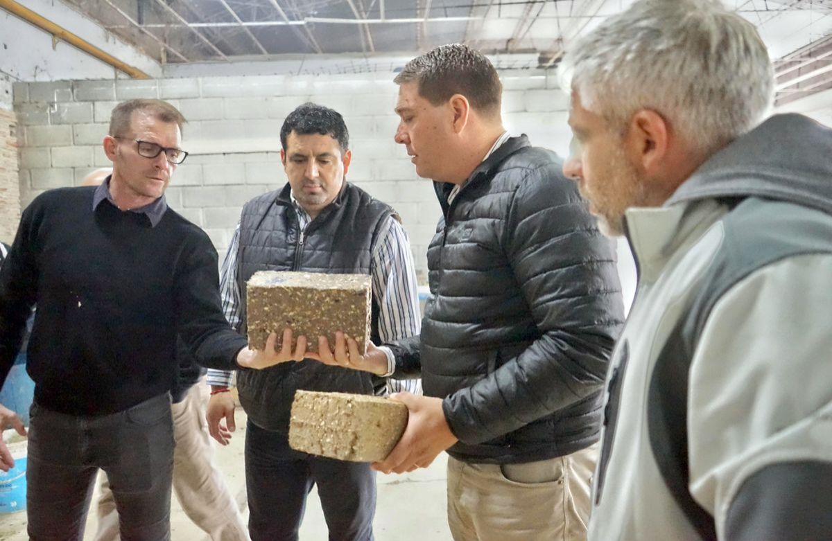 Rawson impulsa el proyecto de fabricación de ladrillos ecológicos