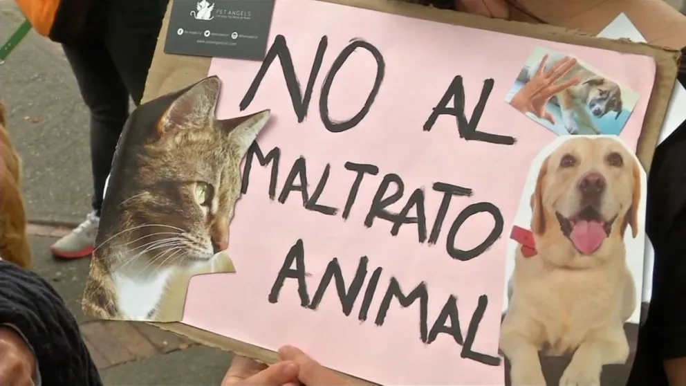 Comodoro fue sede de un encuentro centrado en procedimientos y protección contra el maltrato animal.