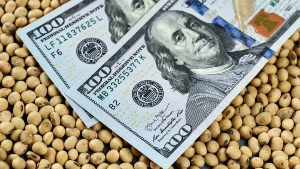 Informe de la BCR: la agroindustria lideró el ingreso de divisas netas en Argentina